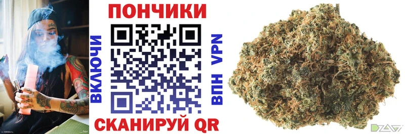Все наркотики Новозыбков СК Меф КОКАИН ГАШИШ MEGA как зайти Конопля