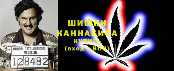 спайс Арсеньев