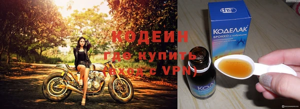 индика Баксан