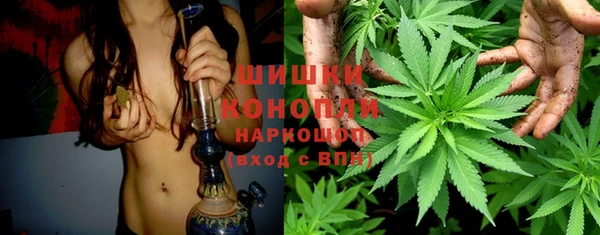 индика Баксан