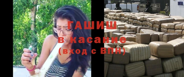 гашик Аркадак