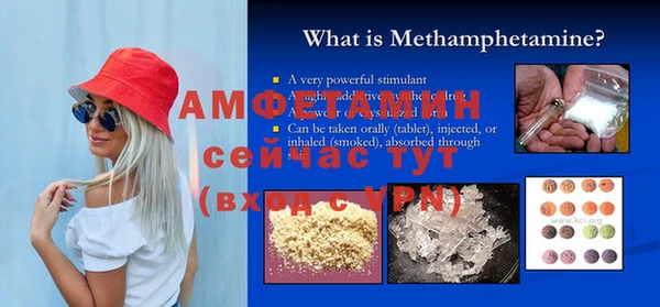 гашик Аркадак