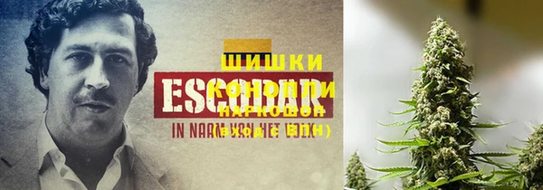 молекула духа Армянск