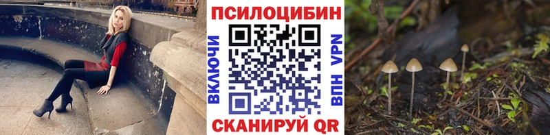 Галлюциногенные грибы Psilocybine cubensis  наркота  Новозыбков 